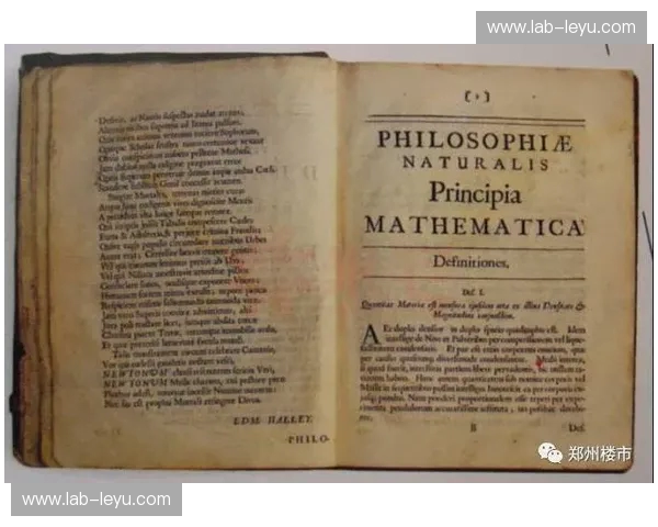 当自然之力遇上人类巧思：地震与伐木工的生存哲学